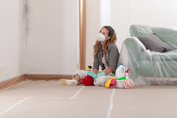 Reliable Mold Remediation contractor in Illinois, IL by 24 Hour Mold Removal